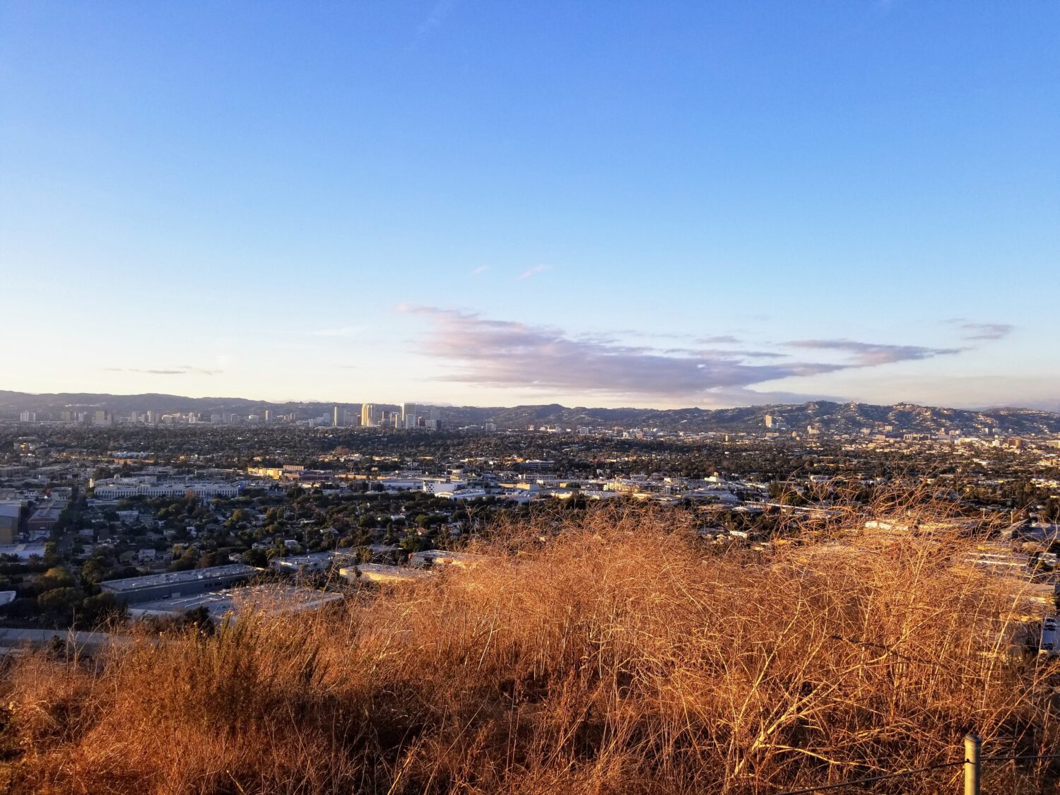 Downtown Los Angeles, Califronia